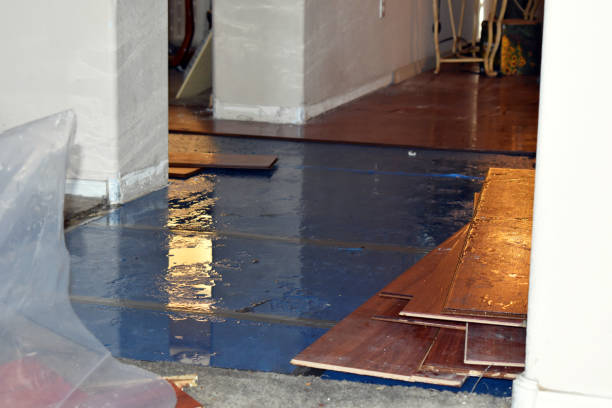 Professional Water Damage Repair technician working in Pine Island, TX